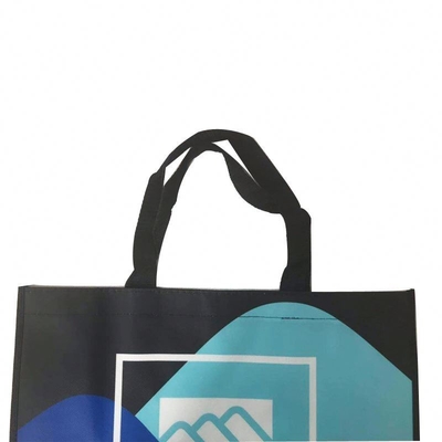 el OEM de los 50cm laminó el bolso que hacía compras no tejido 100gsm