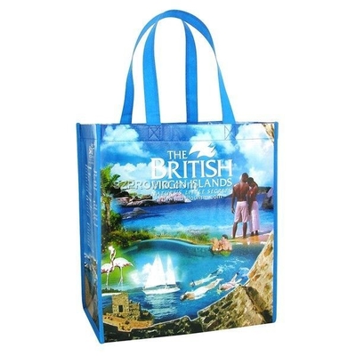 Bolso tejido 110gsm reciclado de la botella los 30x40x15cm RPET