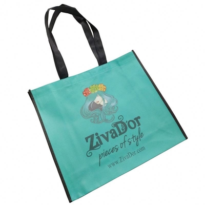 BOPP laminó el bolso no tejido de Matt Biodegradable 100gsm PP