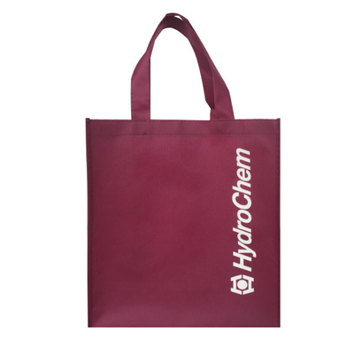 Bolso no tejido amistoso de Eco 80gsm 1000pcs los 30x15x35cm PP