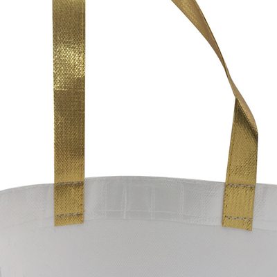 El OEM los 50cm laminó el bolso no tejido de los 38x12x30cm Eco