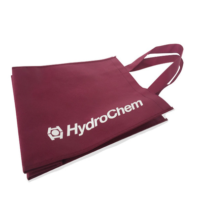 Bolso no tejido amistoso de Eco 80gsm 1000pcs los 30x15x35cm PP
