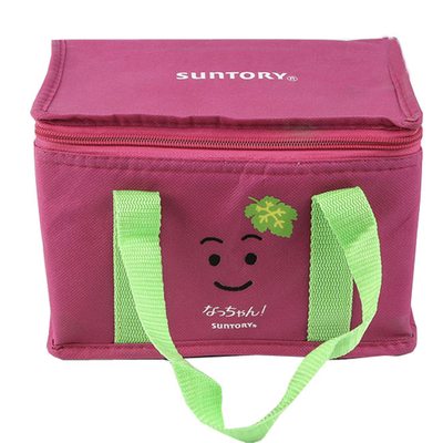 los 50x2.5cm 6 pueden los bolsos aislados promocionales del almuerzo de 2m m EPE 80gsm