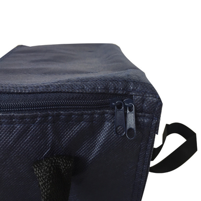 El OEM no tejido 80gsm de los 20x15x18cm CMKY aisló un bolso más fresco