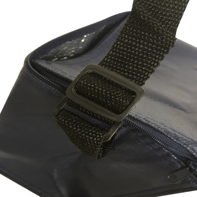 El OEM no tejido 80gsm de los 20x15x18cm CMKY aisló un bolso más fresco