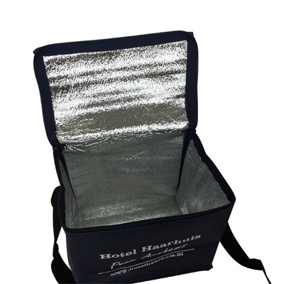 El OEM no tejido 80gsm de los 20x15x18cm CMKY aisló un bolso más fresco
